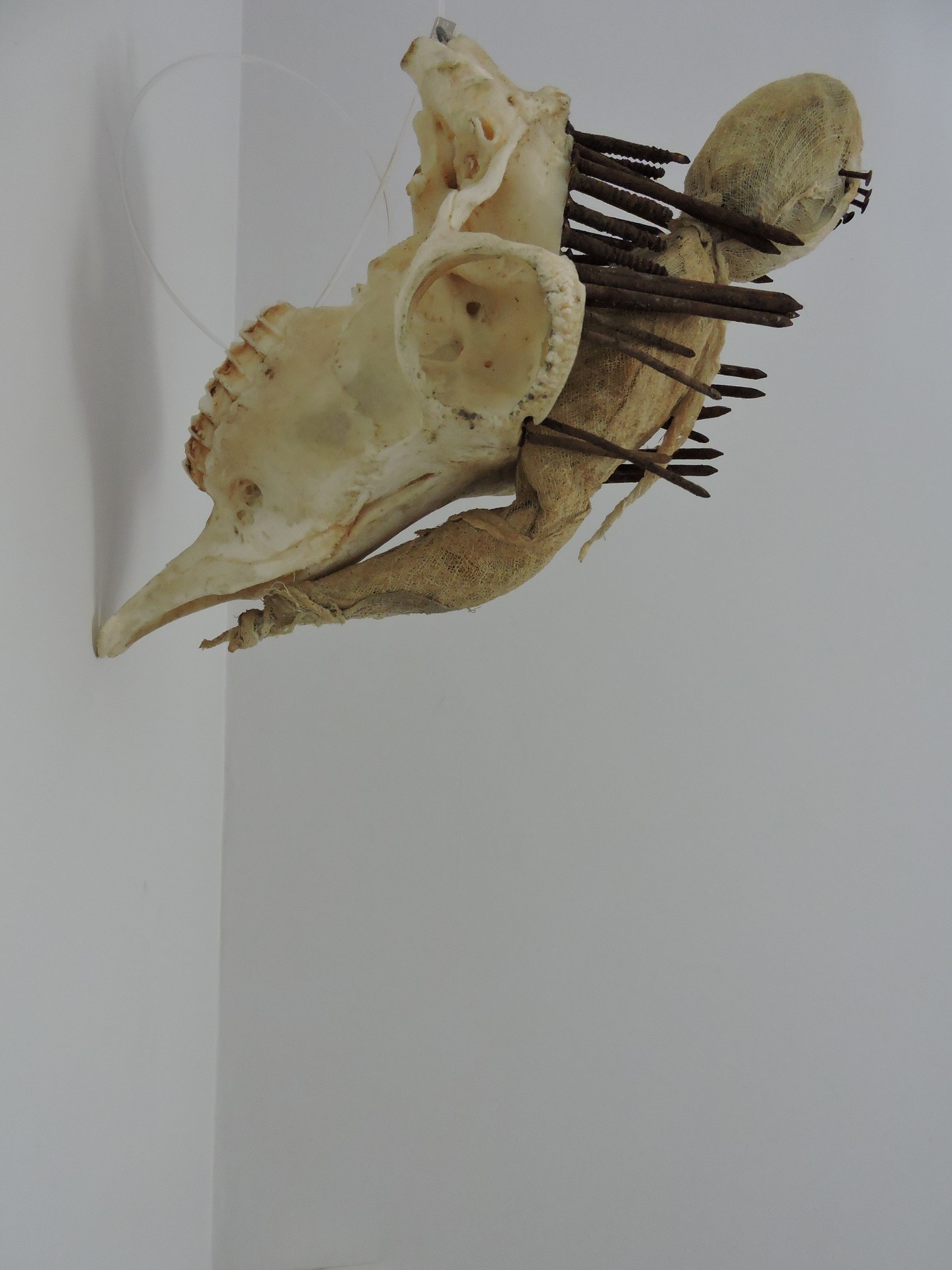 De winnaars zijn gekend...